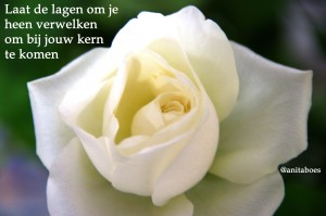 Laat de lagen om je heen verwelken om bij jouw kern te komen 141003 @anitaboes
