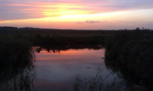 avondlucht 141010