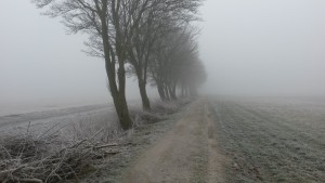 20150123_110259