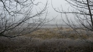 20150123_113029