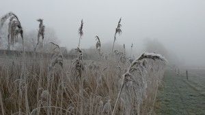 20150123_115616