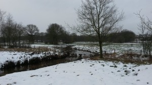 20150125_095845