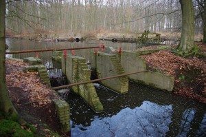 Waterloopbos 150121