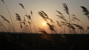 20150319_175058